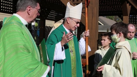 Bishop blessing St Francis